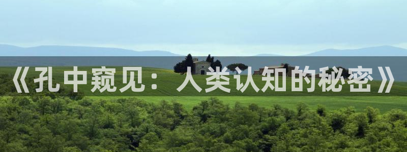 我独自盗墓土豪漫画